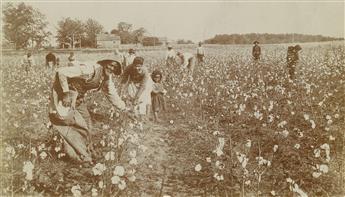(AFRICAN AMERICANA) Pair of young women cotton pickers in Georgia, with a male supervisor at right * Picking cotton, Jackson, Tennessee
